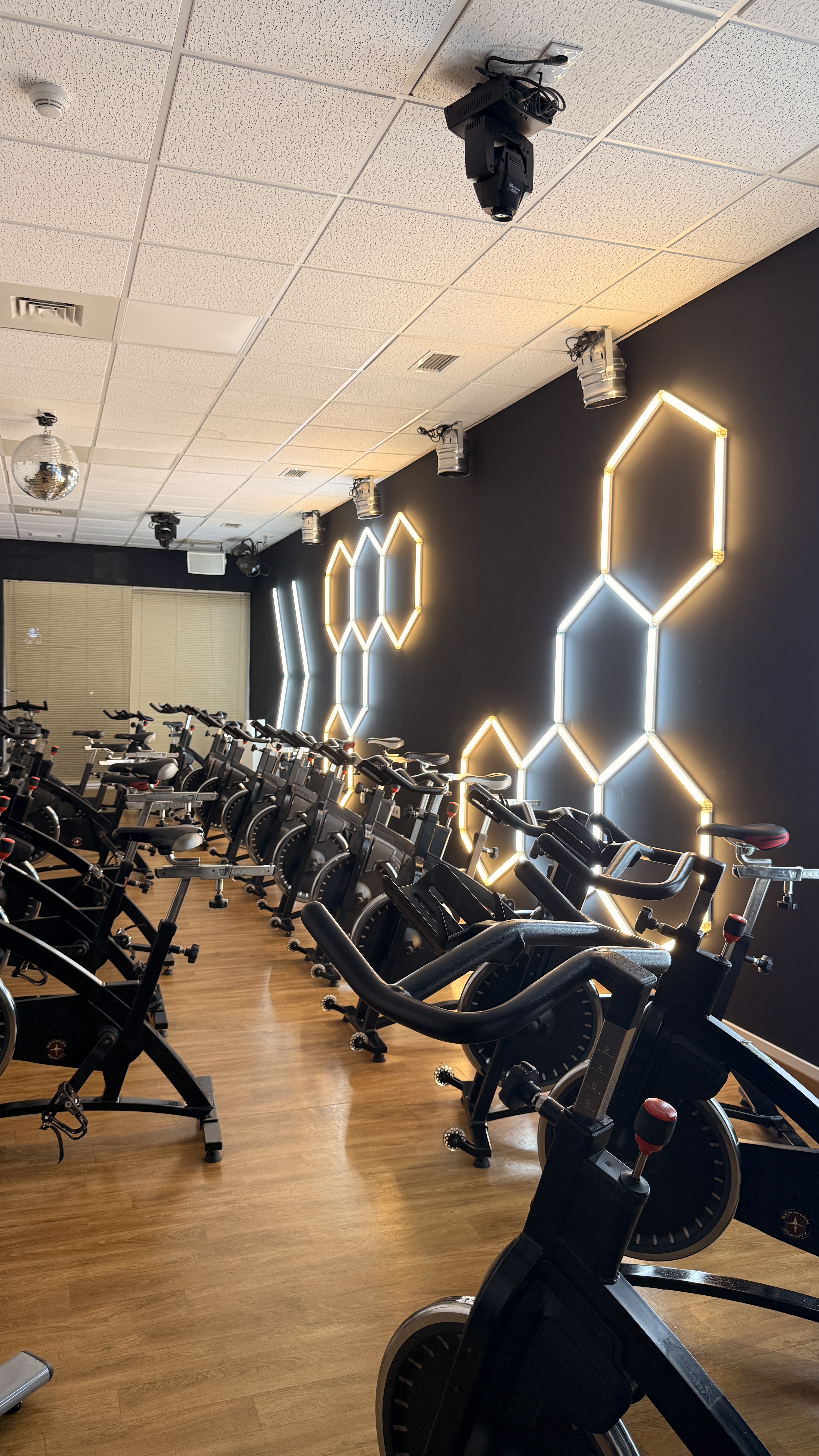 Zona de treino Bless Fitness
